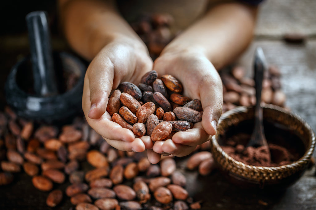 Cacao Bean Blend vs. Single Genetic