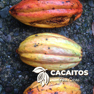 Specialty Cacao Beans